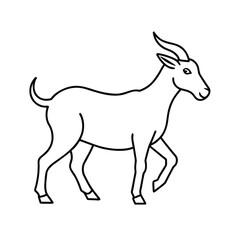 Fototapeta premium Outline drawing a walking goat on a animal