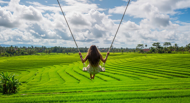 A person enjoys a scenic swing ride amidst lush green terraced fields on a bright summer day