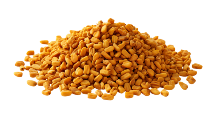 Pile of Fenugreek Seeds