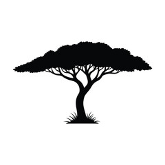 Silhouette of a classic african acacia tree with a flat top against a white background