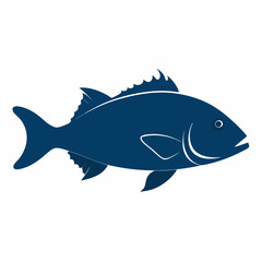 fish vector illustration