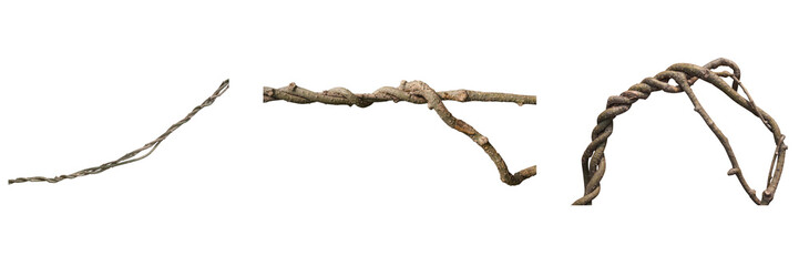 Twisted Vine Branches:  Dark, Moody, Isolated, Natural Textures,  High-Resolution Images, Perfect for Design.