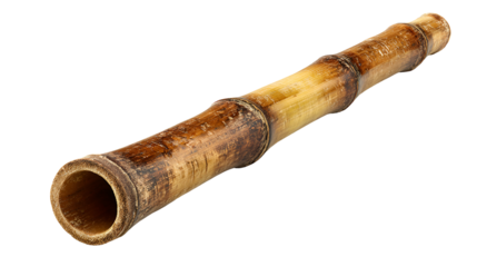 Natural Bamboo Stick Isolated 