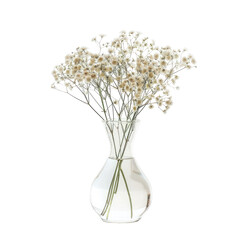 A bouquet of dried flowers in a clear glass vase © Dusky