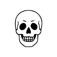 Fototapeta premium basic skull outline drawing