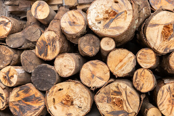 Log cross section