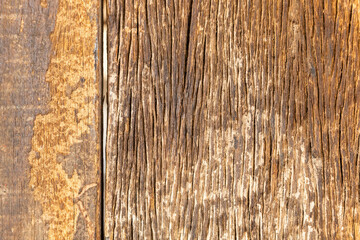 Old wooden texture