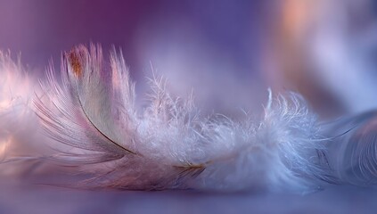 Obraz premium Delicate feather detail in soft, muted tones.