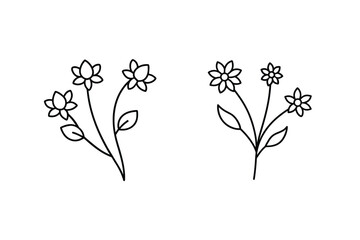 Delicate floral line art flowers botanical