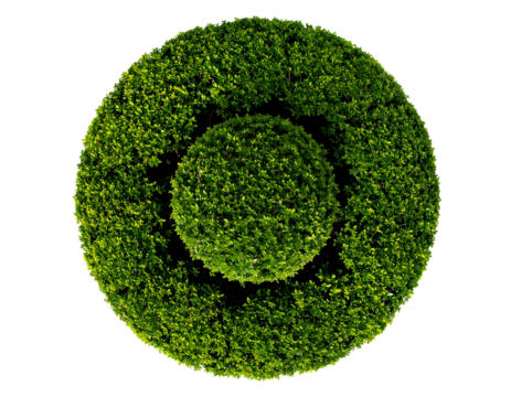 Top View of Dense Round Green Bush for Landscape Design, Transparent PNG.