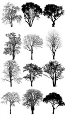 Obraz premium Collection tree silhouette isolated on white background.