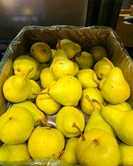 Crate of pears, full crate of ripe, yellow pears ready for sale. Harvest.