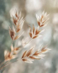 Crédence de cuisine  Delicate dried grasses in muted tones.  © Berkah