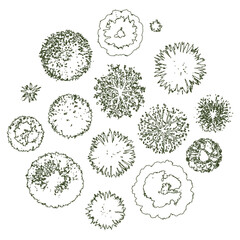 Detailed Tree Top View Vector Illustration for Landscape Design and Architectural Plans © Sara Studio