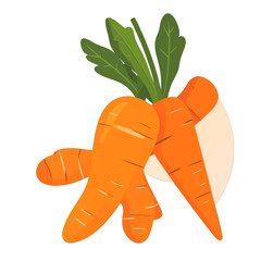 Two Orange Carrots With Green Leaves