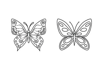 Ornate and simple butterflies butterfly insect