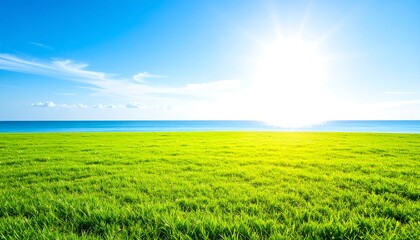 Obraz premium Radiant summer meadow meeting the sea under a brilliant clear blue sunny sky