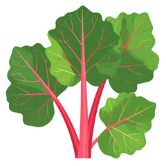 Colorful Ribbed Plant Illustration