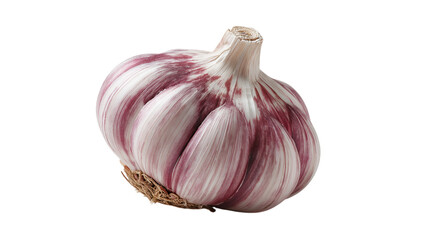 Purple Garlic Bulb Isolated on Transparent Background