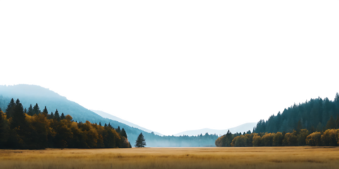 Golden meadow misty forest mountain range isolated on a transparent background autumn