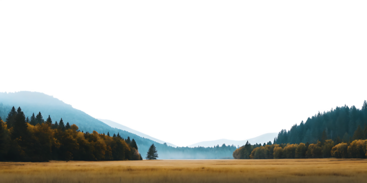 Golden meadow misty forest mountain range isolated on a transparent background autumn