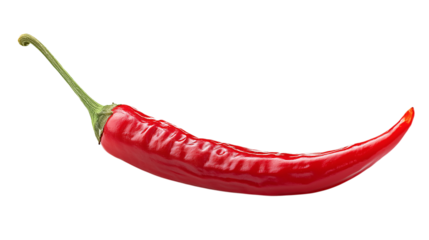 Red Chili Pepper on Transparent Background