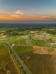 Beautiful morning view indonesia panorama landscape paddy fields with beauty color and sky natural...
