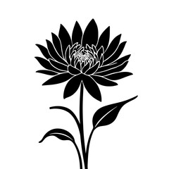 Minimalist black silhouette of a chrysanthemum with intricate petals on white background