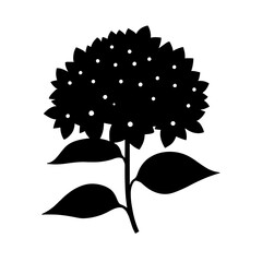 Minimalist black silhouette of hydrangea flower cluster on white background