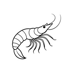 shrimp line art vector illustration on white back