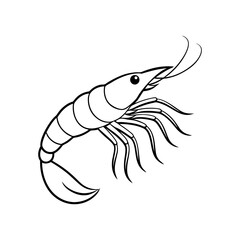 shrimp line art vector illustration on white back