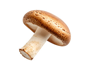 One Matsutake mushroom levitating against a plain white backdrop, detailed surface texture, earthy tones, PNG