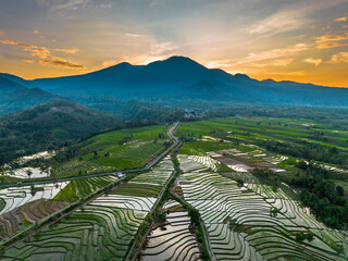 Beautiful morning view indonesia panorama landscape paddy fields with beauty color and sky natural...