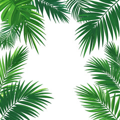 Naklejka premium Tropical Palm Leaves Frame Design