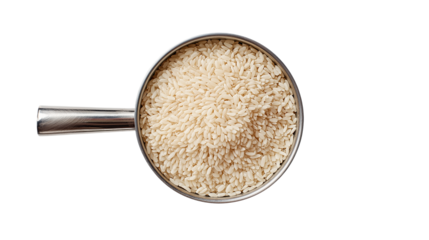 Rice in Measuring Cup