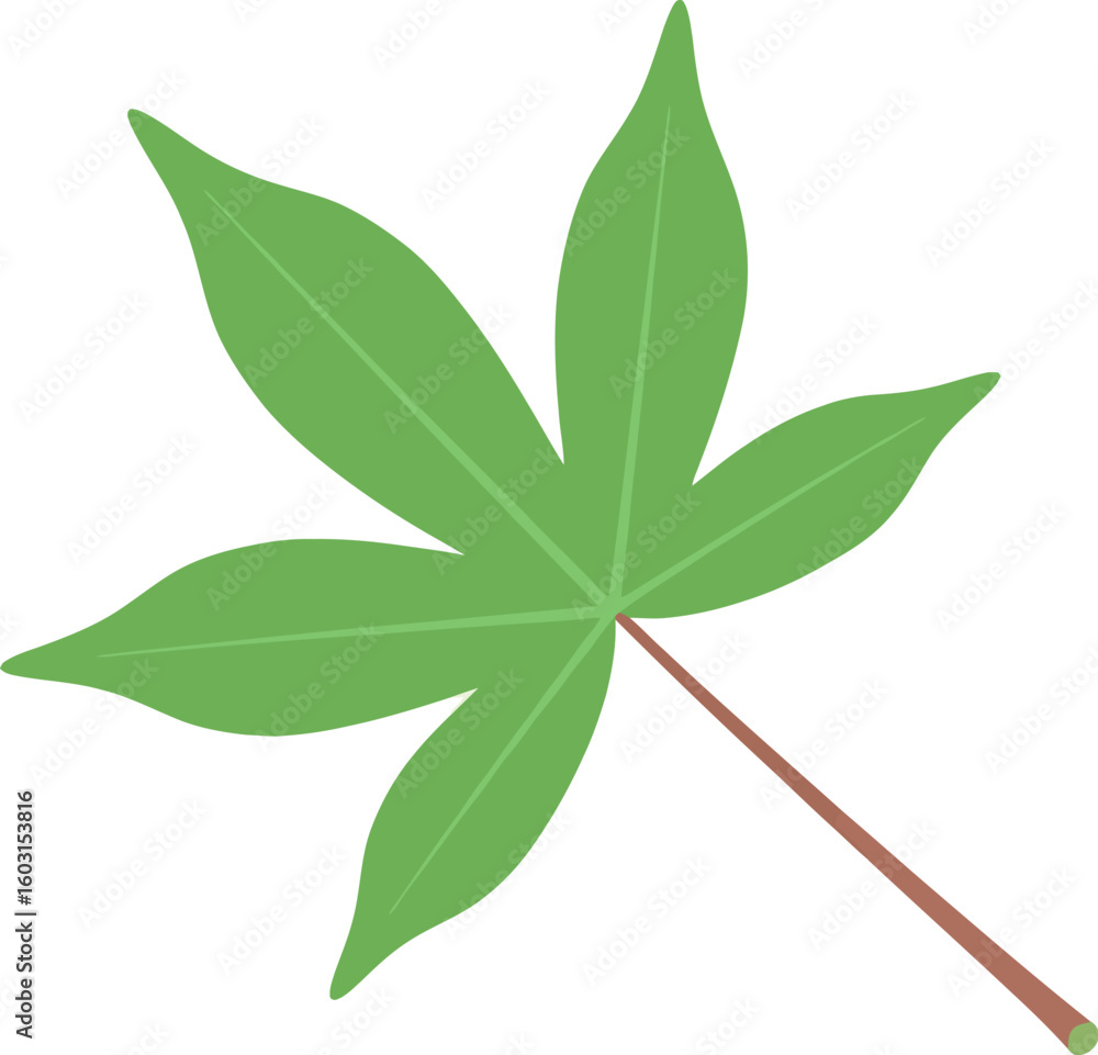 Poster a single green maple leaf with five points and a brown stem isolated on a white background