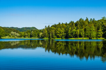 Reflection of forest on Trakoscan lake in Zagorje, Croatia, amazing nature landscape