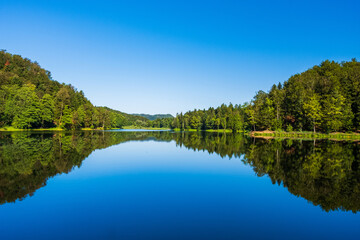 Reflection of forest on Trakoscan lake in Zagorje, Croatia, amazing nature landscape