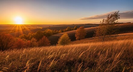 Fototapeta premium A golden sunset over a rolling landscape of autumn fields and trees