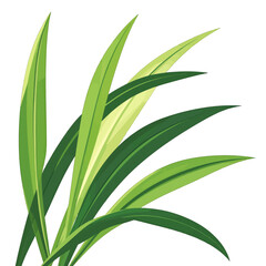 Obraz premium Detailed Illustration Of Lush Green Leaves