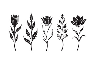 Five stylized black and white floral illustrations on white background