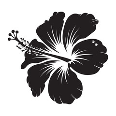 Striking black silhouette of a tropical hibiscus flower with detailed white stamen and delicate petal lines