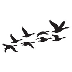Silhouettes of a flock of geese flying in formation against a stark white background