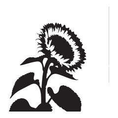 A striking black and white silhouette of a large sunflower in full bloom against a stark white background