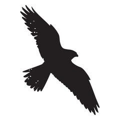 Majestic silhouette of a soaring bird of prey against a stark white background