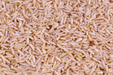 Close-up image of uncooked brown rice grains