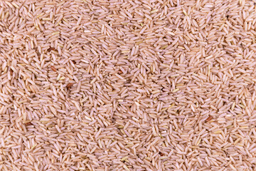 Close-up of uncooked brown rice grains texture
