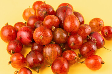 Fresh red gooseberries on yellow background highlighting juicy sweet berries