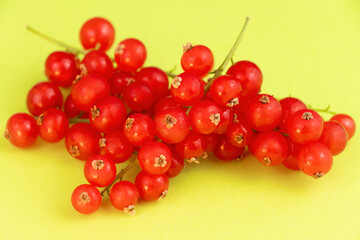 Fresh red currants cluster on vibrant yellow background