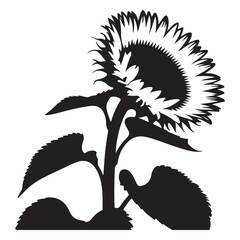 A detailed black and white silhouette of a blooming sunflower with large leaves and a textured spiky petal arrangement